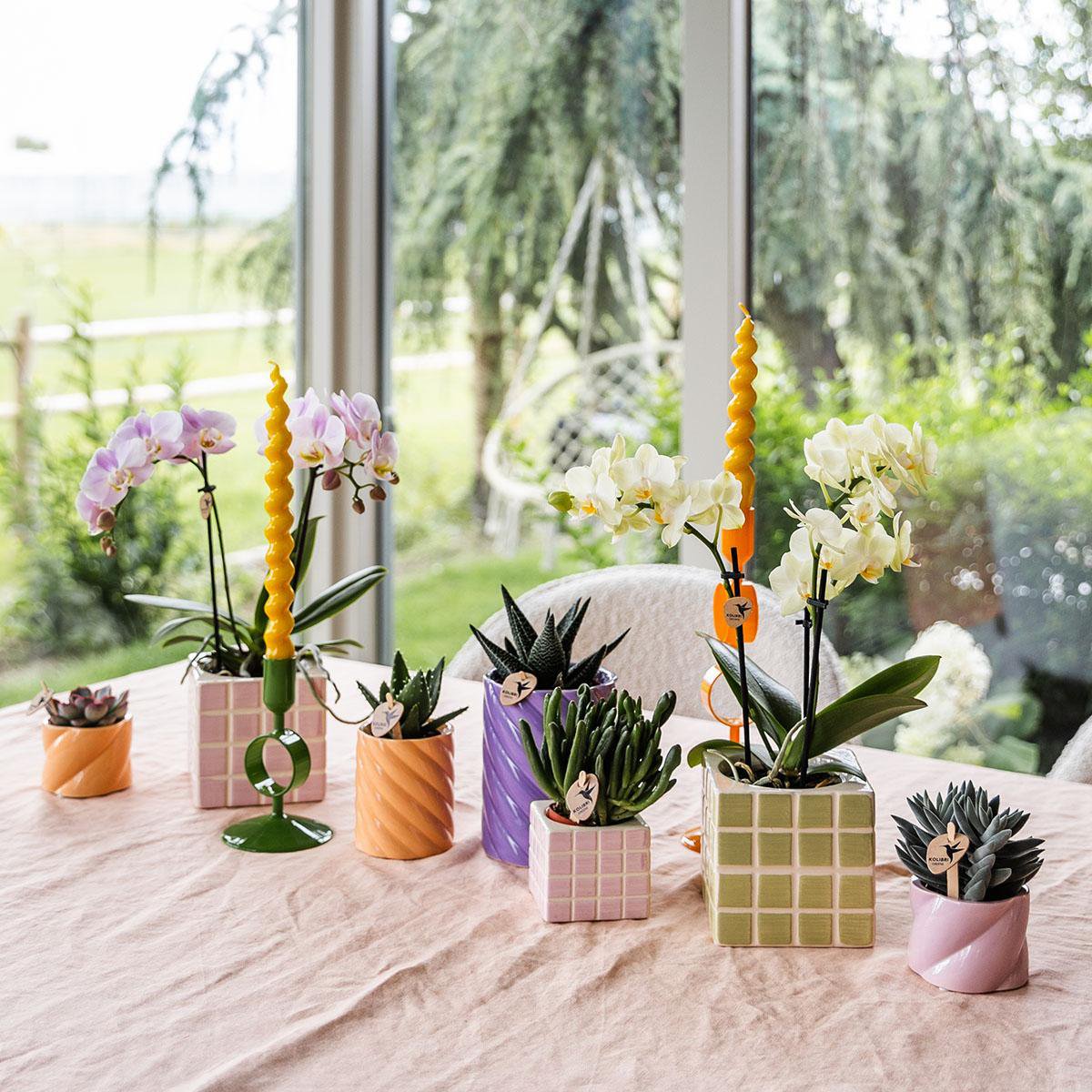 Anro Style Mosa sierpot - Groen - Ø9cm