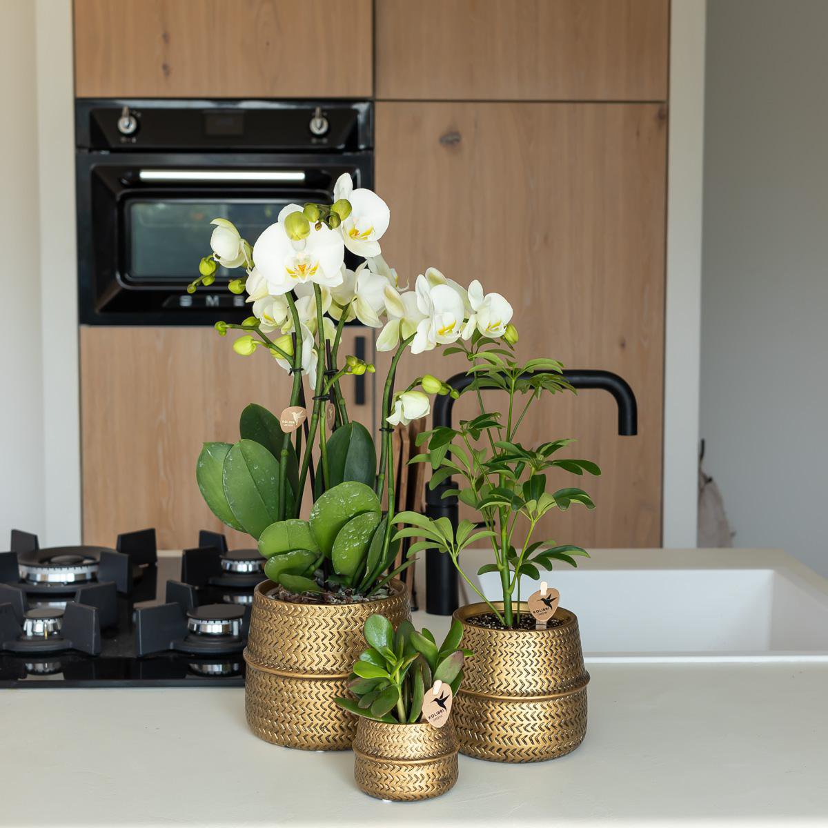 Anro Style Groove bloempot - Gouden keramieken sierpot - potmaat - Ø6cm
