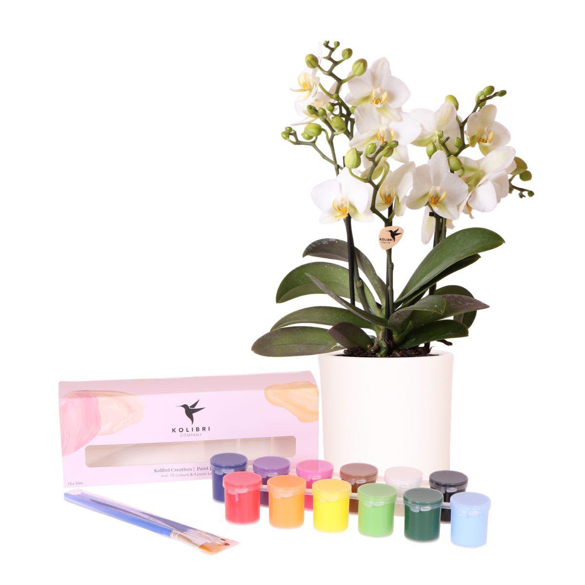 Anro Style Verfpakket voor het schilderen van 4 bloempotten + orchideeën | voor 4 personen | Beginnende artiest
