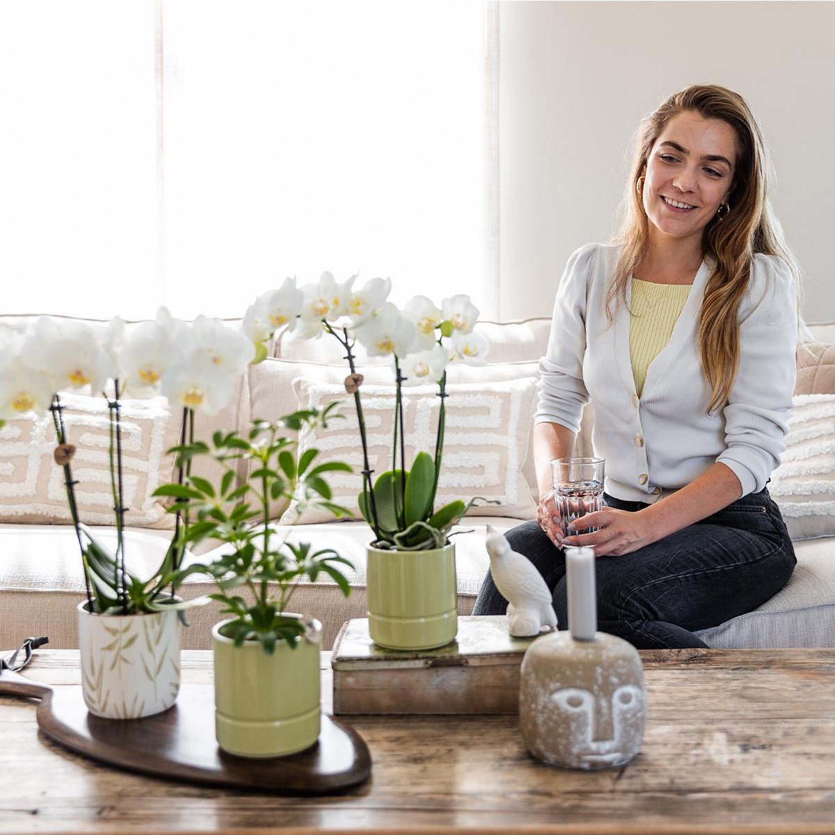 Anro Style witte Phalaenopsis orchidee - Amabilis + Leaf pot green - potmaat Ø9cm | bloeiende kamerplant - vers van de kweker