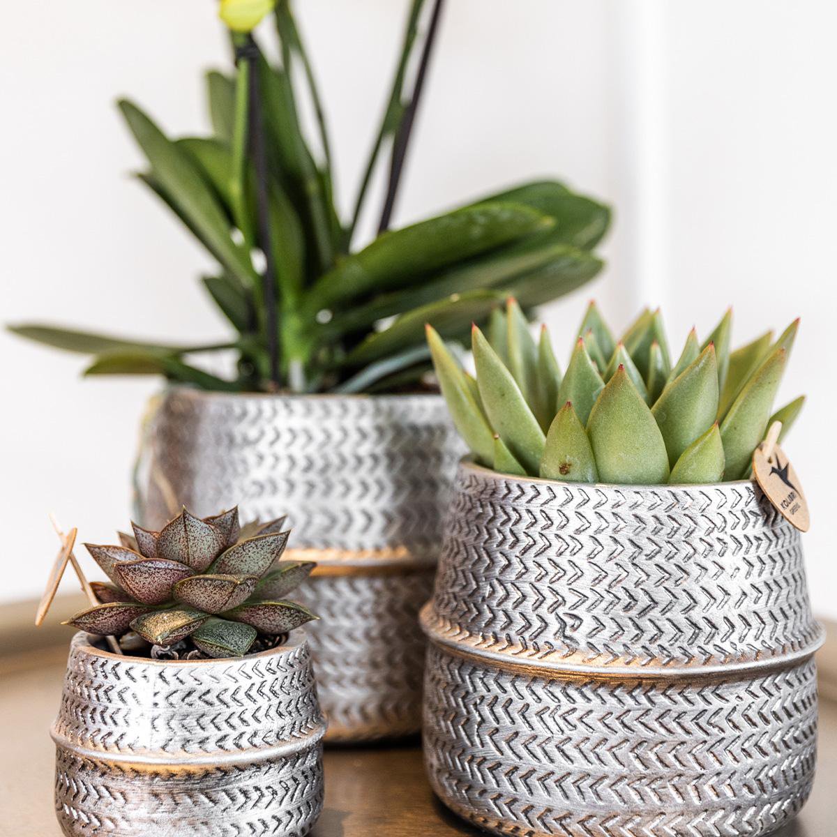 Anro Style Groove bloempot - Gouden keramieken sierpot - Ø6cm
