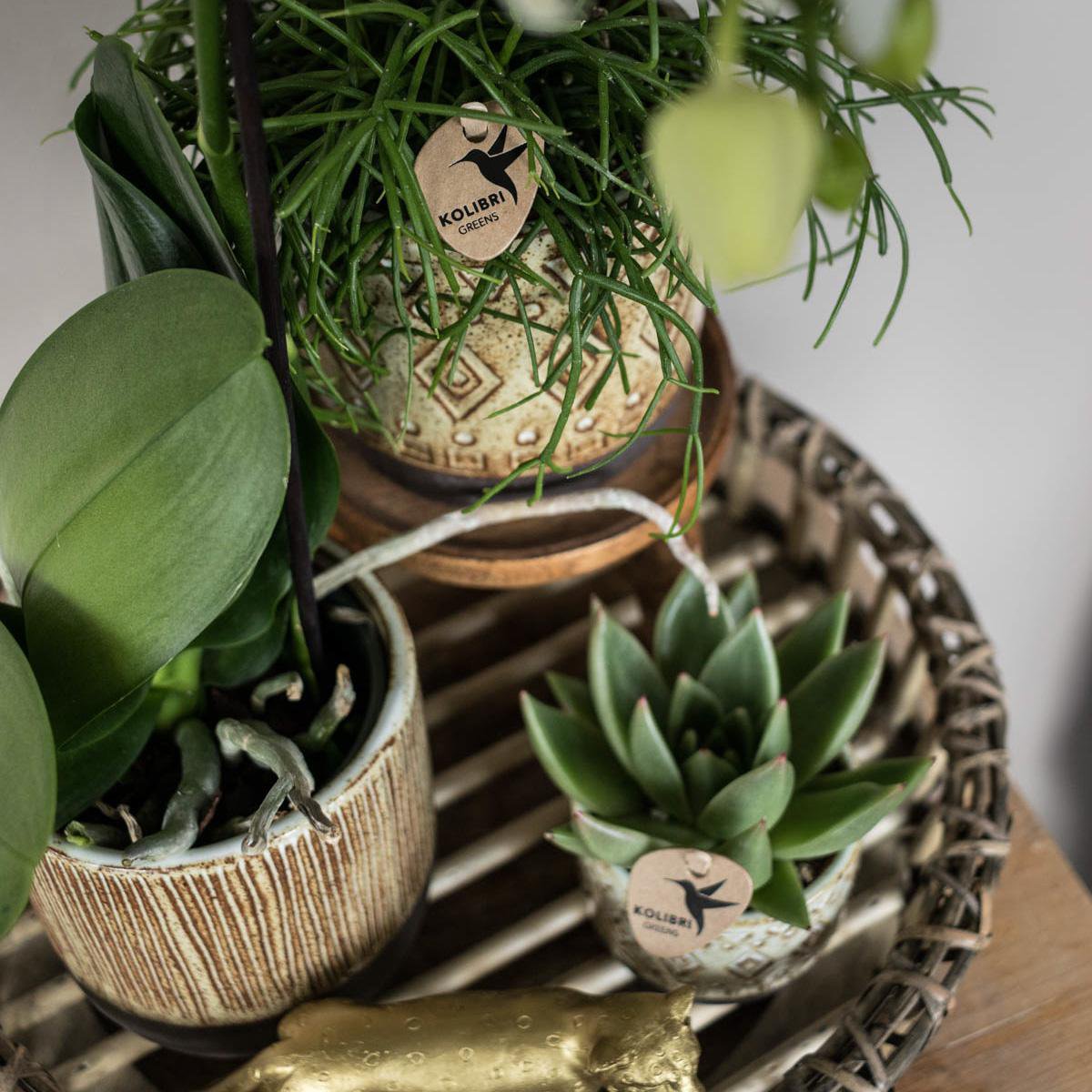 Anro Style Decoratieschaal - Rond Willow dienblad Ø30cm