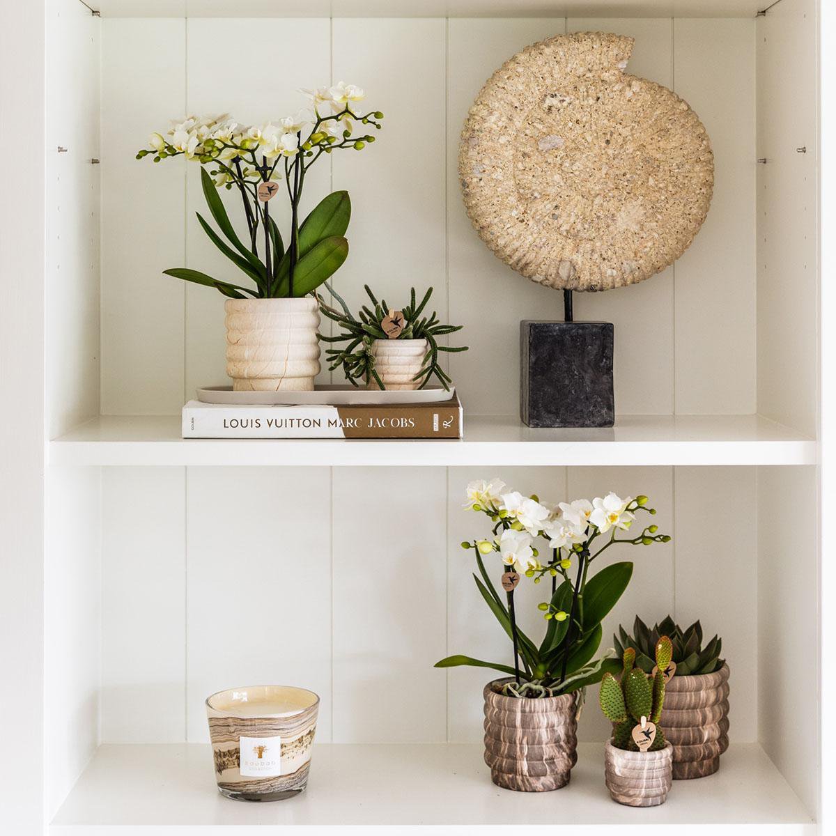 Anro Style Combi deal - Marble Light potten