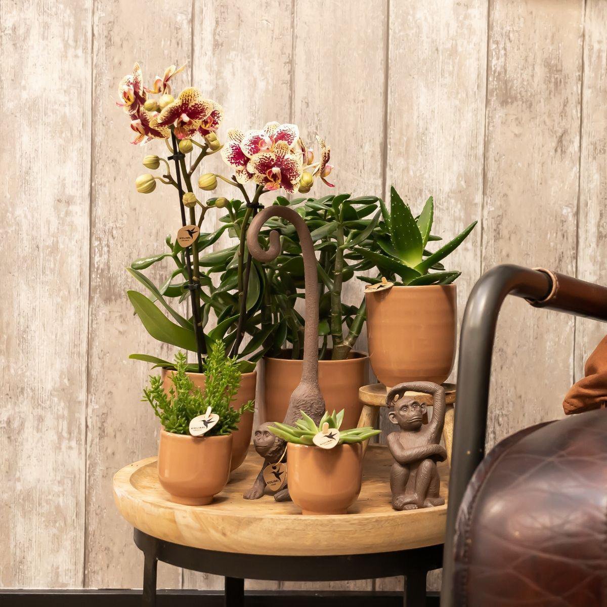Anro Style Glazed bloempot - Cognac keramieken sierpot met glans - Ø6cm