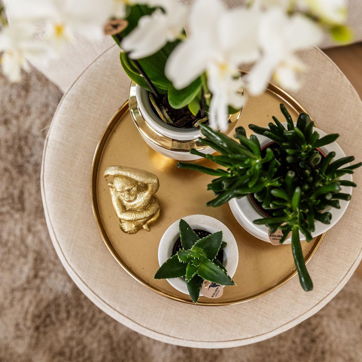 Anro Style Le Chic bloempot - Witte keramieken sierpot met gouden details - Ø9cm