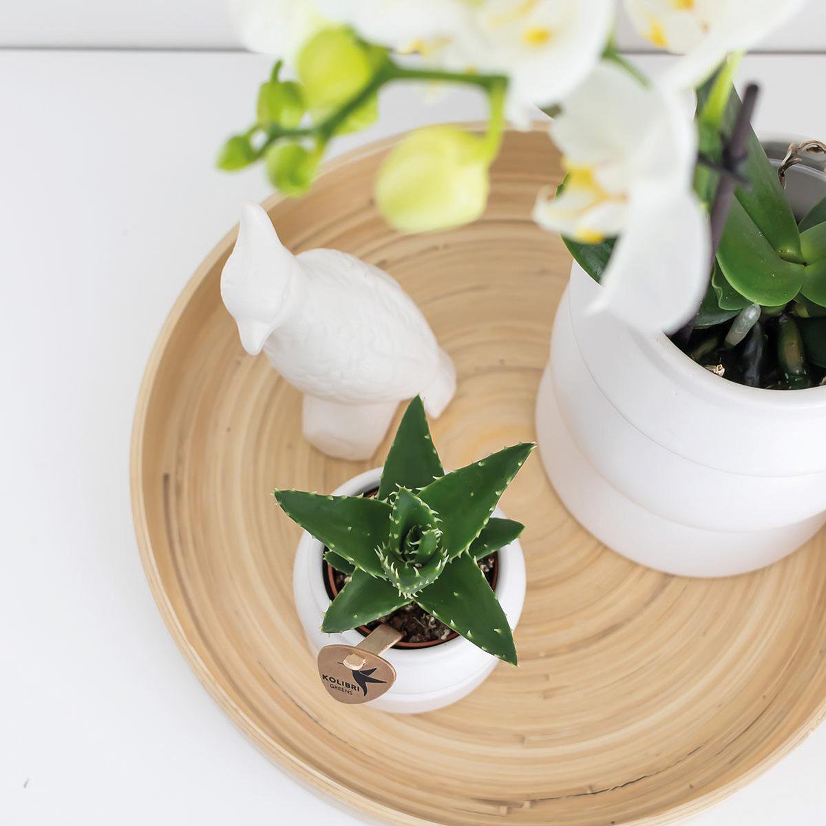 Anro Style Decoratieschaal - Rond egaal bamboe dienblad Ø30cm