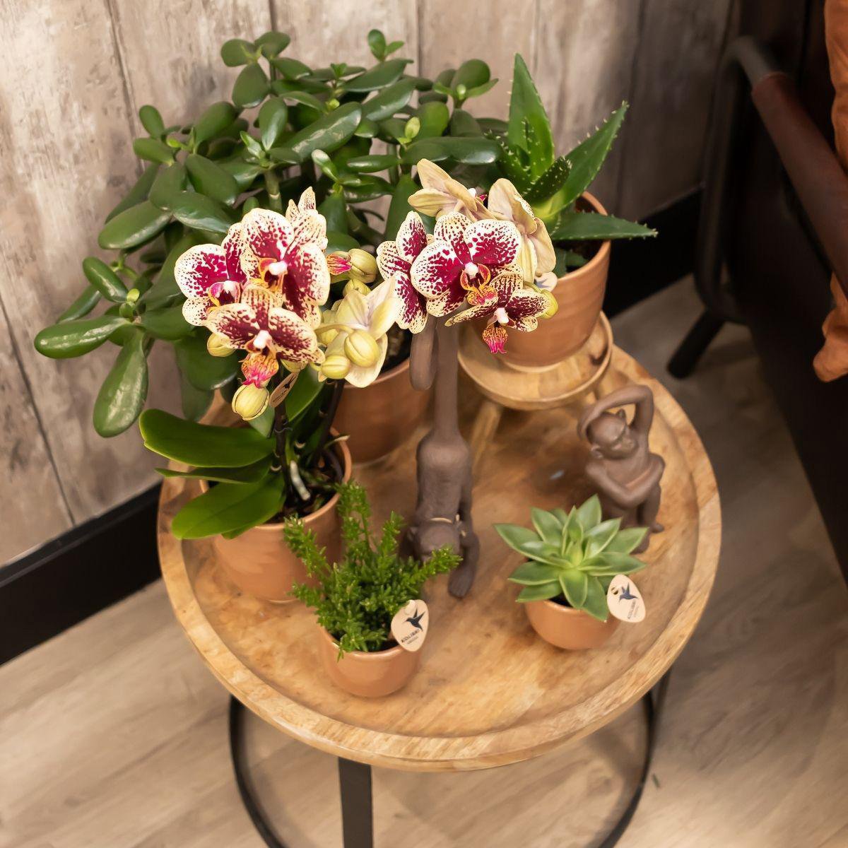 Anro Style Glazed bloempot - Cognac keramieken sierpot met glans - Ø6cm