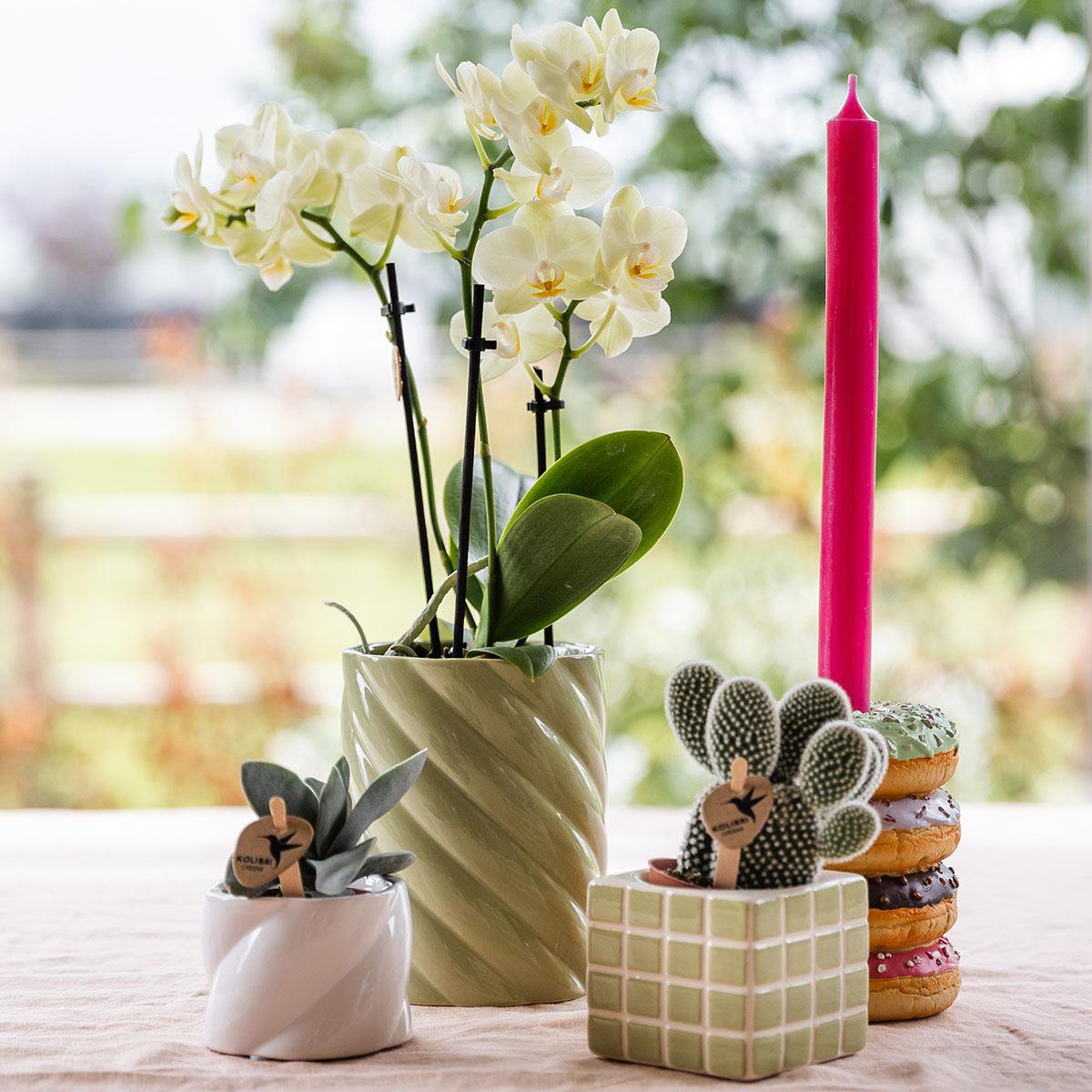 Anro Style Mosa sierpot - Groen - Ø9cm