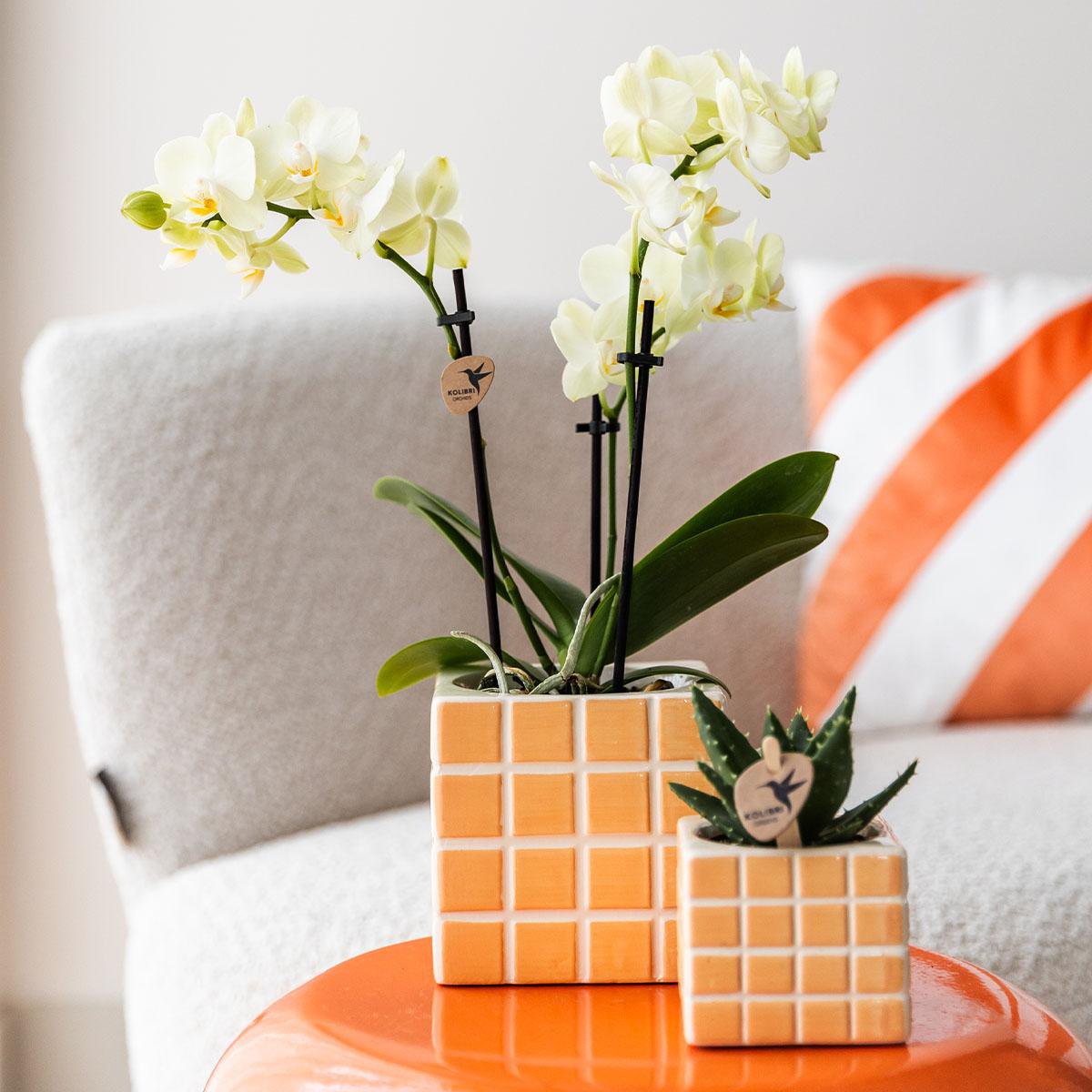 Anro Style Mosa sierpot - Oranje - Ø9cm