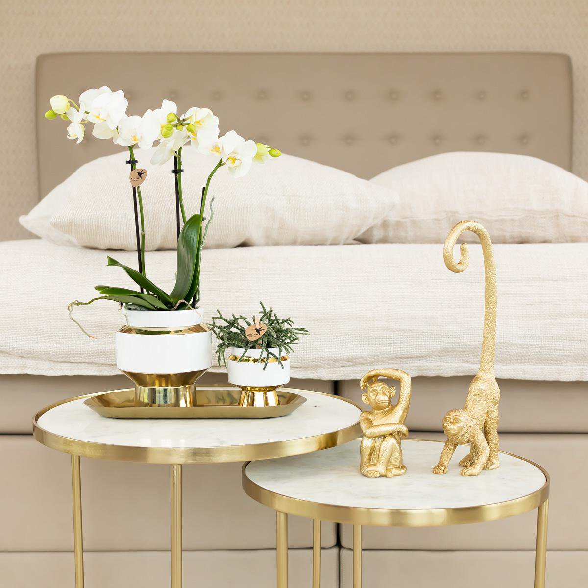 Anro Style Le Chic bloempot - Witte keramieken sierpot met gouden details - Ø9cm