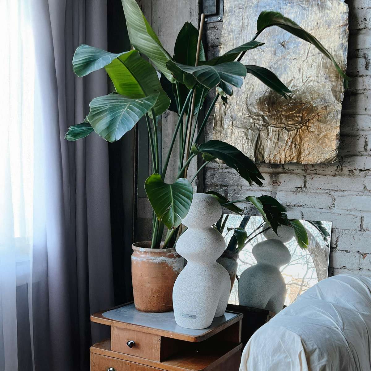 Florastore Giant Bird Of Paradise - 2 Pcs. - Strelitzia Nicolai - Height 55-70Cm - ⌀17Cm
