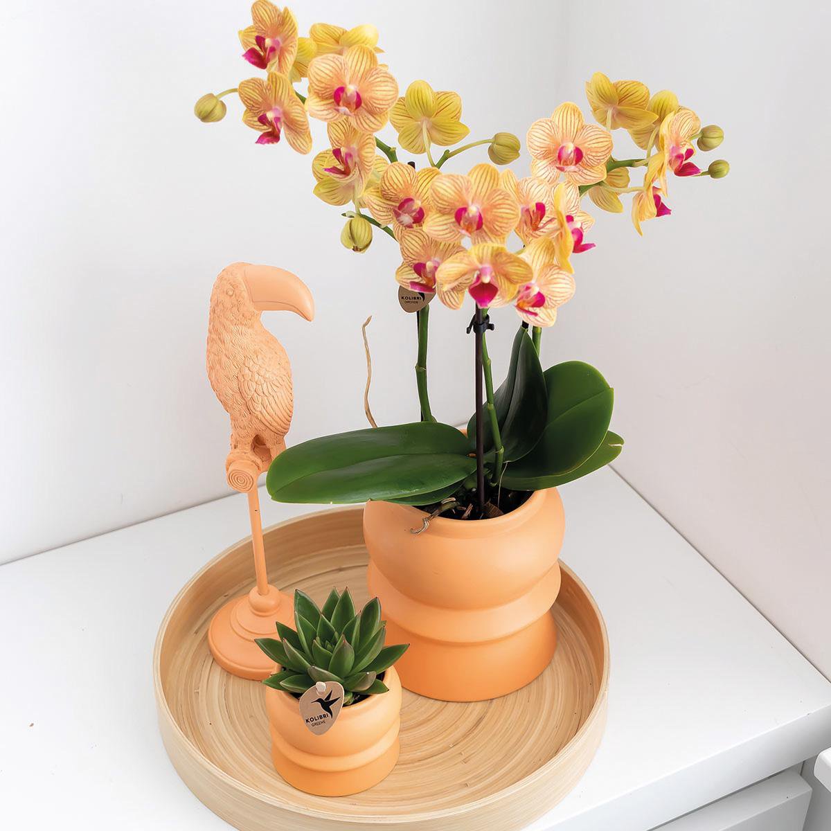Anro Style Decoratieschaal - Rond egaal bamboe dienblad Ø30cm