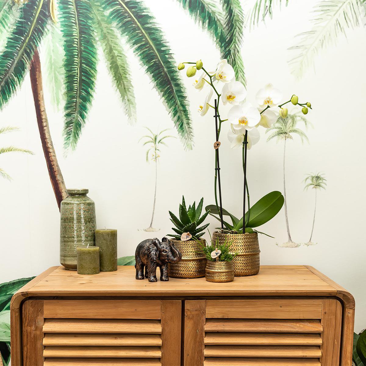 Anro Style Groove bloempot - Gouden keramieken sierpot - potmaat - Ø6cm
