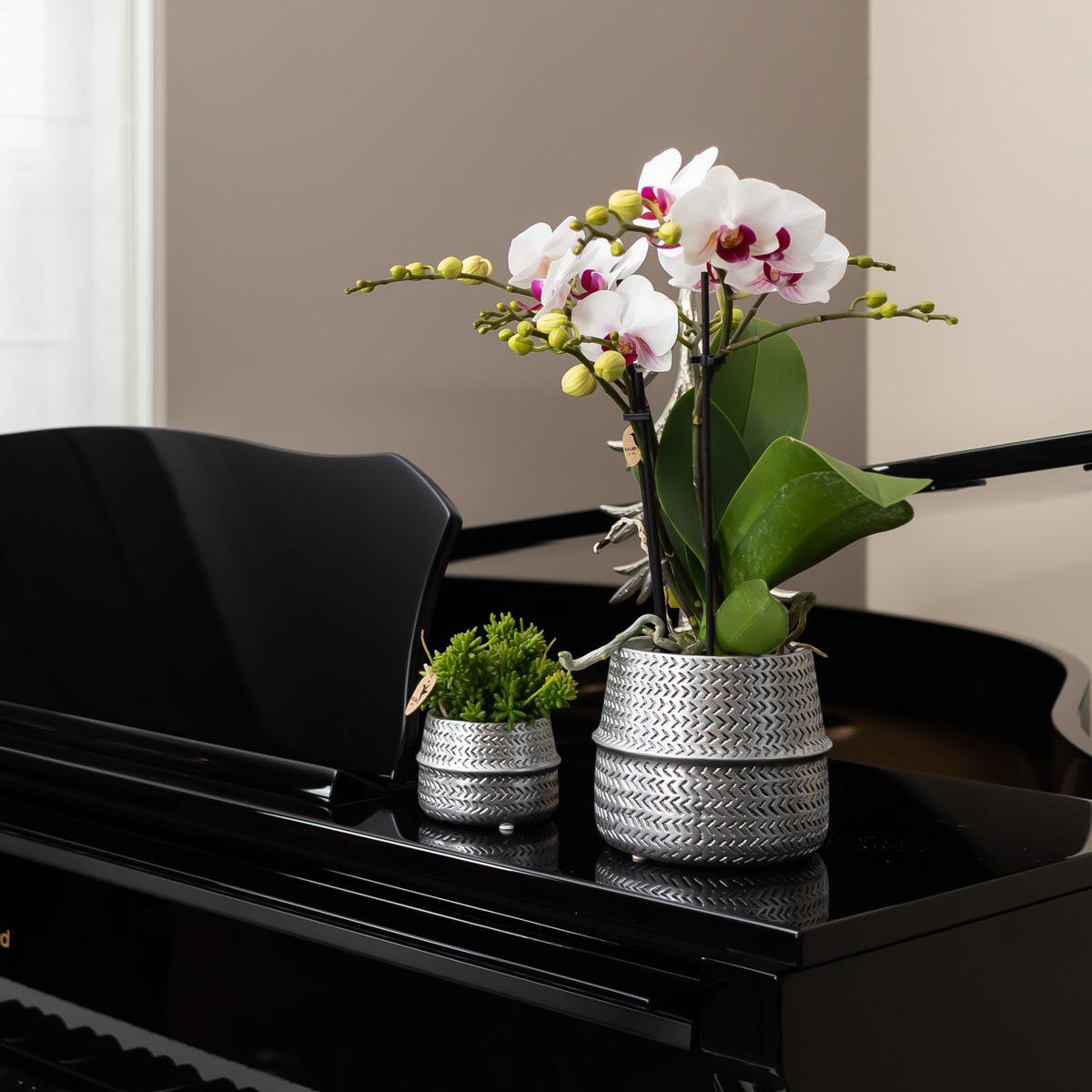 Anro Style Groove bloempot - Gouden keramieken sierpot - Ø6cm
