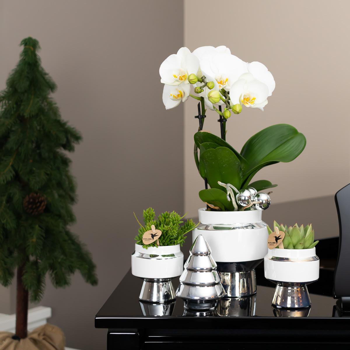Anro Style Le Chic bloempot - Witte keramieken sierpot met zilveren details - Ø9cm