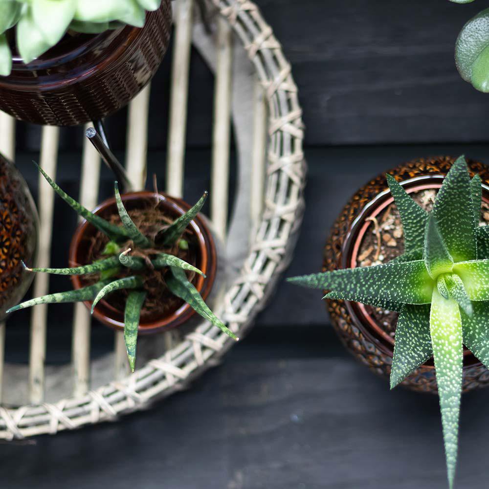 Anro Style Decoratieschaal - Rond Willow dienblad Ø30cm