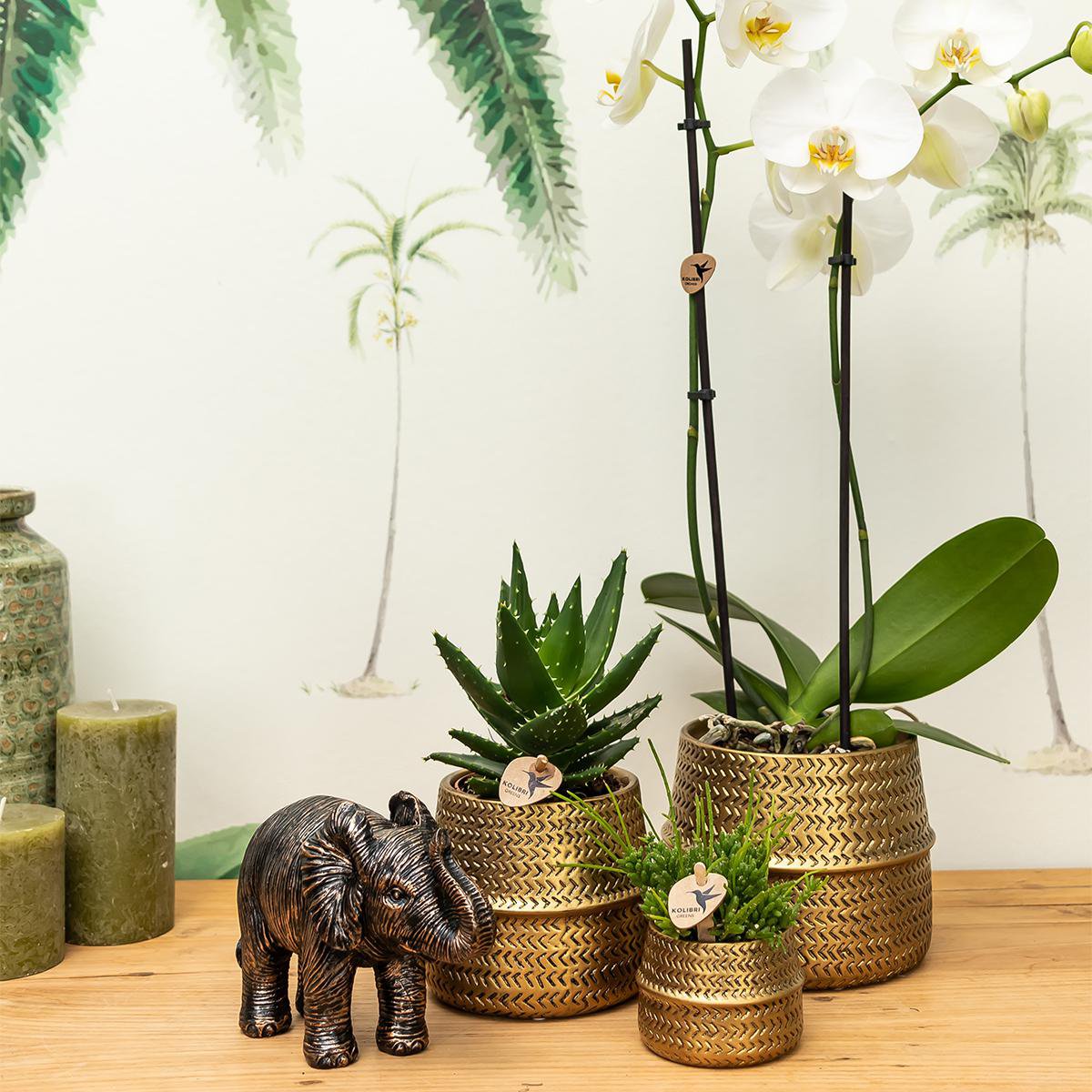 Anro Style Groove bloempot - Gouden keramieken sierpot - potmaat - Ø6cm