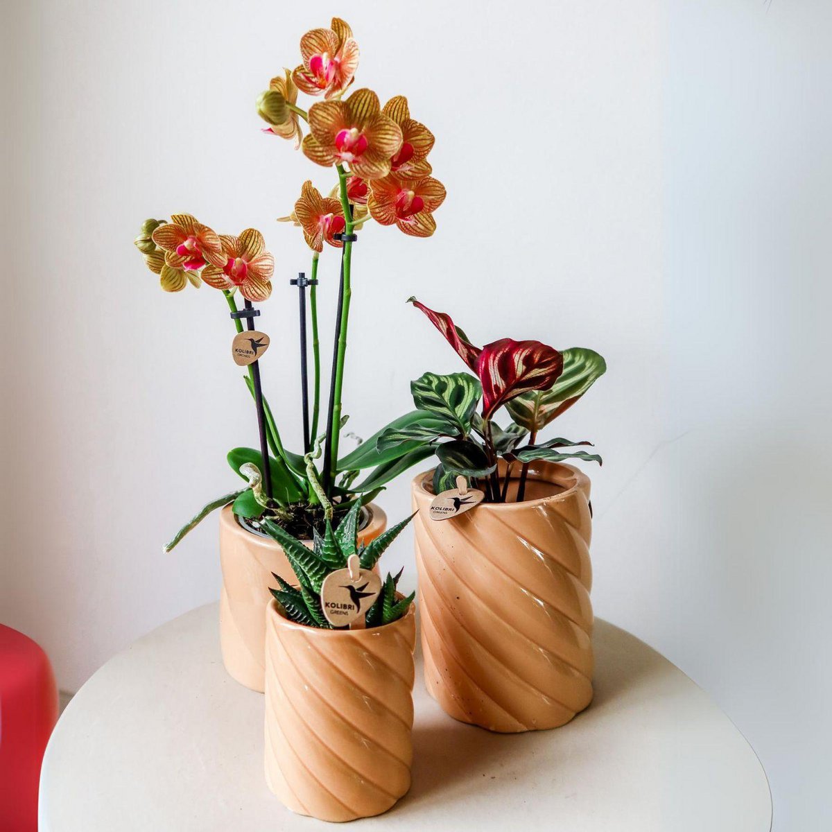 Anro Style Candy sierpot | Hoog - Peach - Ø6cm