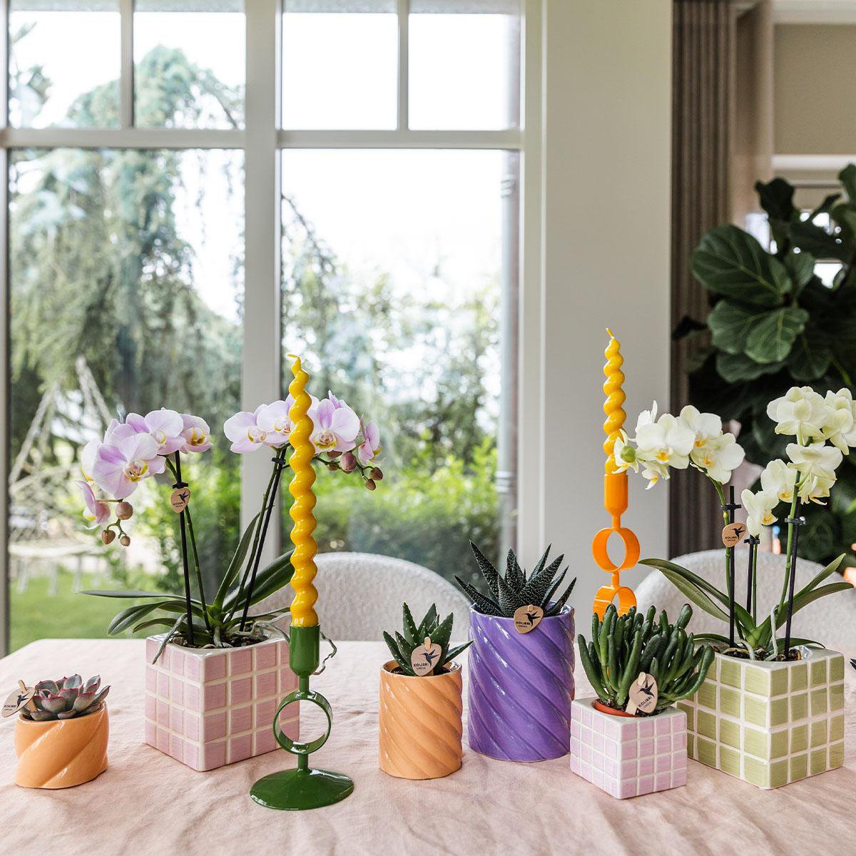 Anro Style Candy sierpot | Hoog - Peach - Ø6cm