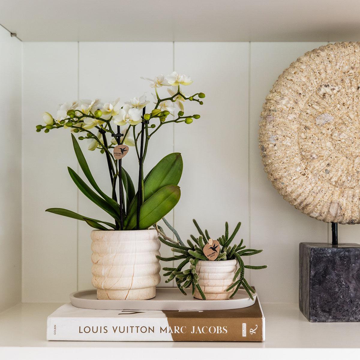 Anro Style Marble pot - Light - Ø6cm