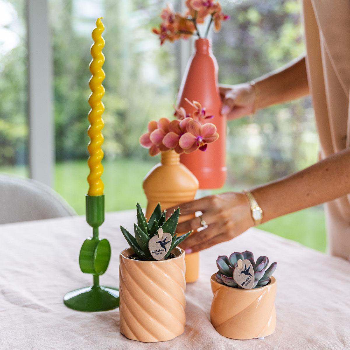 Anro Style Candy sierpot | Hoog - Peach - Ø6cm