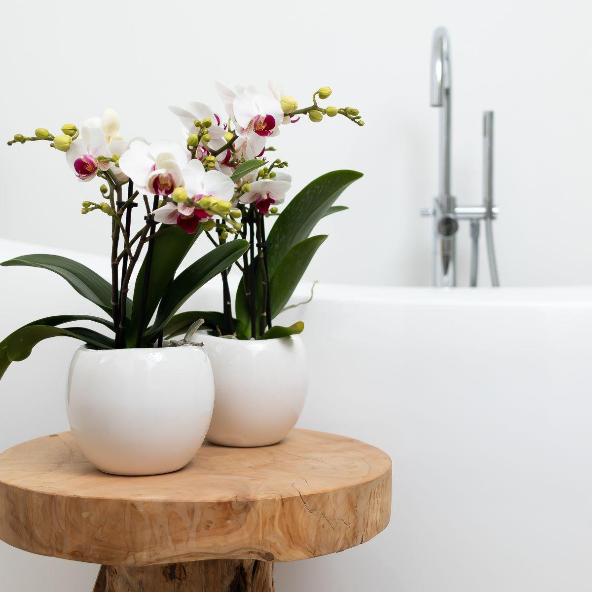 Anro Style Bowl bloempot - Witte keramieken sierpot - potmaat Ø9cm