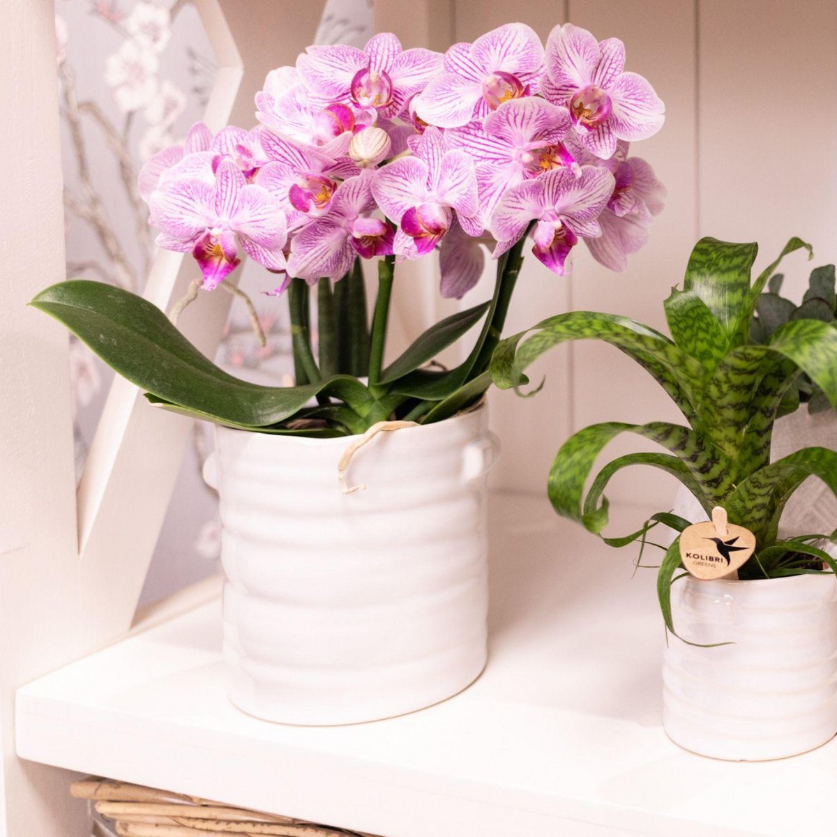 Anro Style Jug bloempot - Witte keramieken sierpot Ø9cm