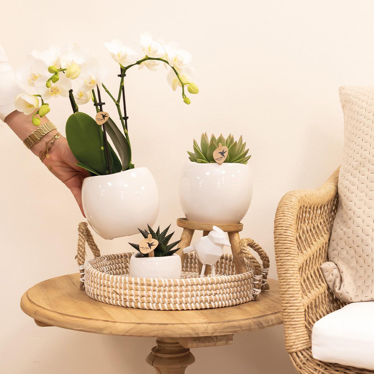 Anro Style Bowl bloempot - Witte keramieken sierpot - potmaat Ø9cm
