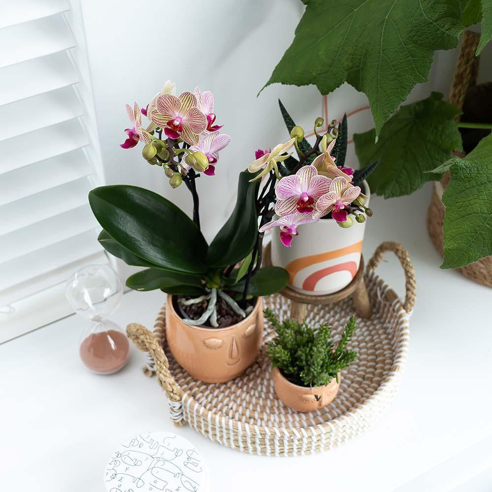Anro Style Decoratieschaal - Wit gevlochten dienblad Ø30cm