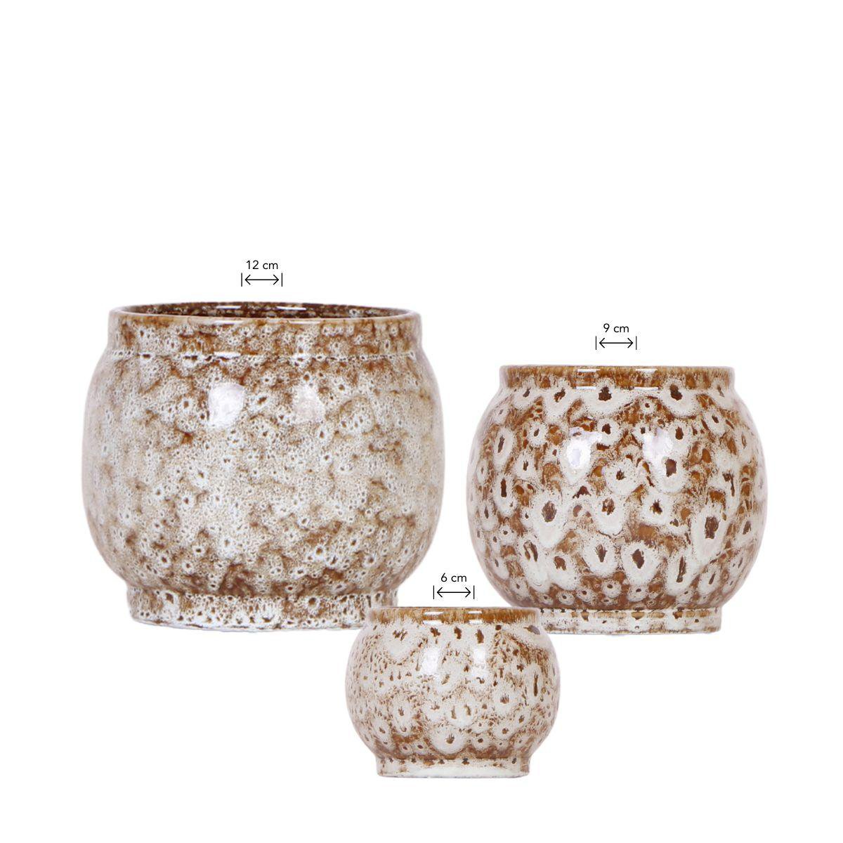 Anro Style Combi deal - Safari potten