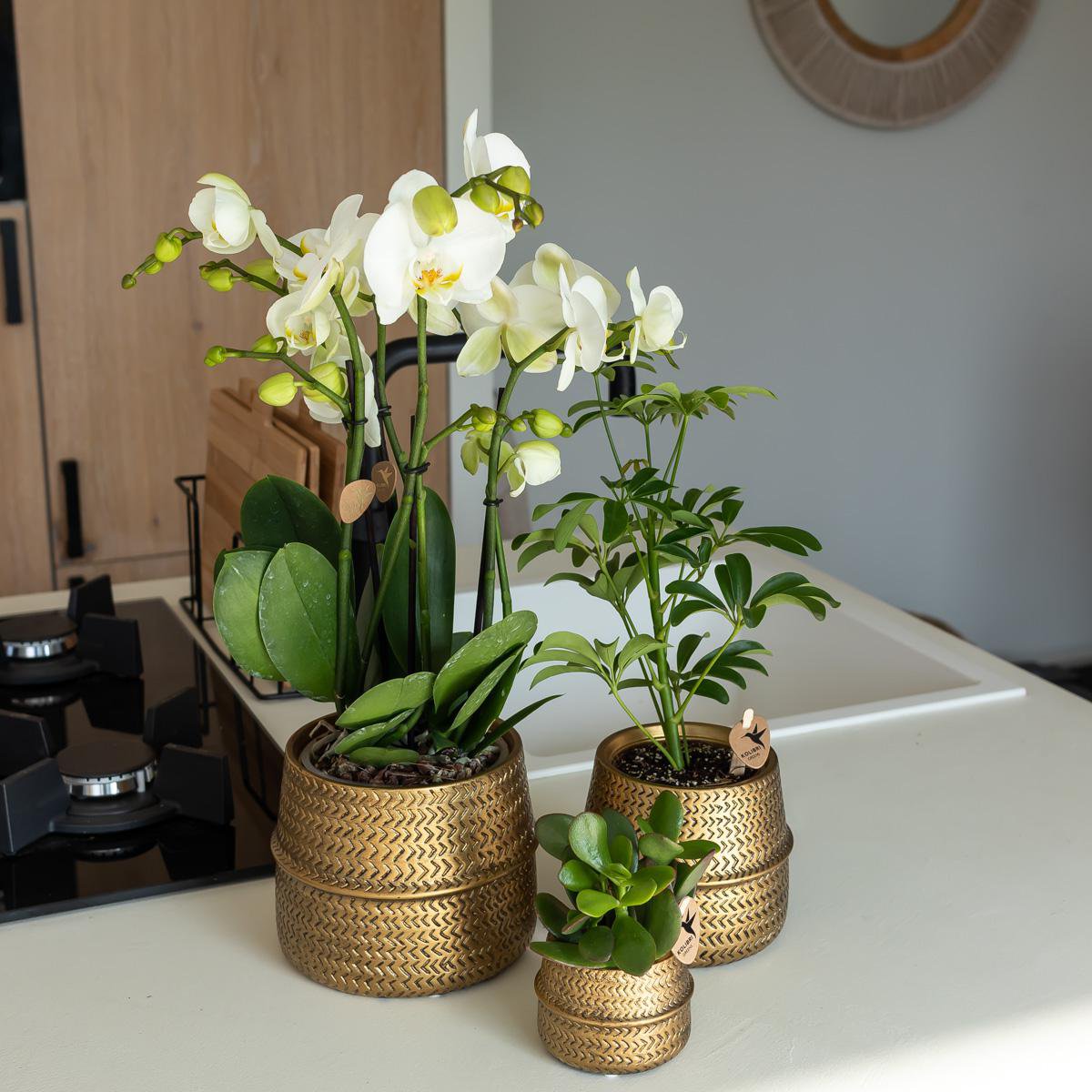 Anro Style Groove bloempot - Gouden keramieken sierpot - potmaat - Ø6cm