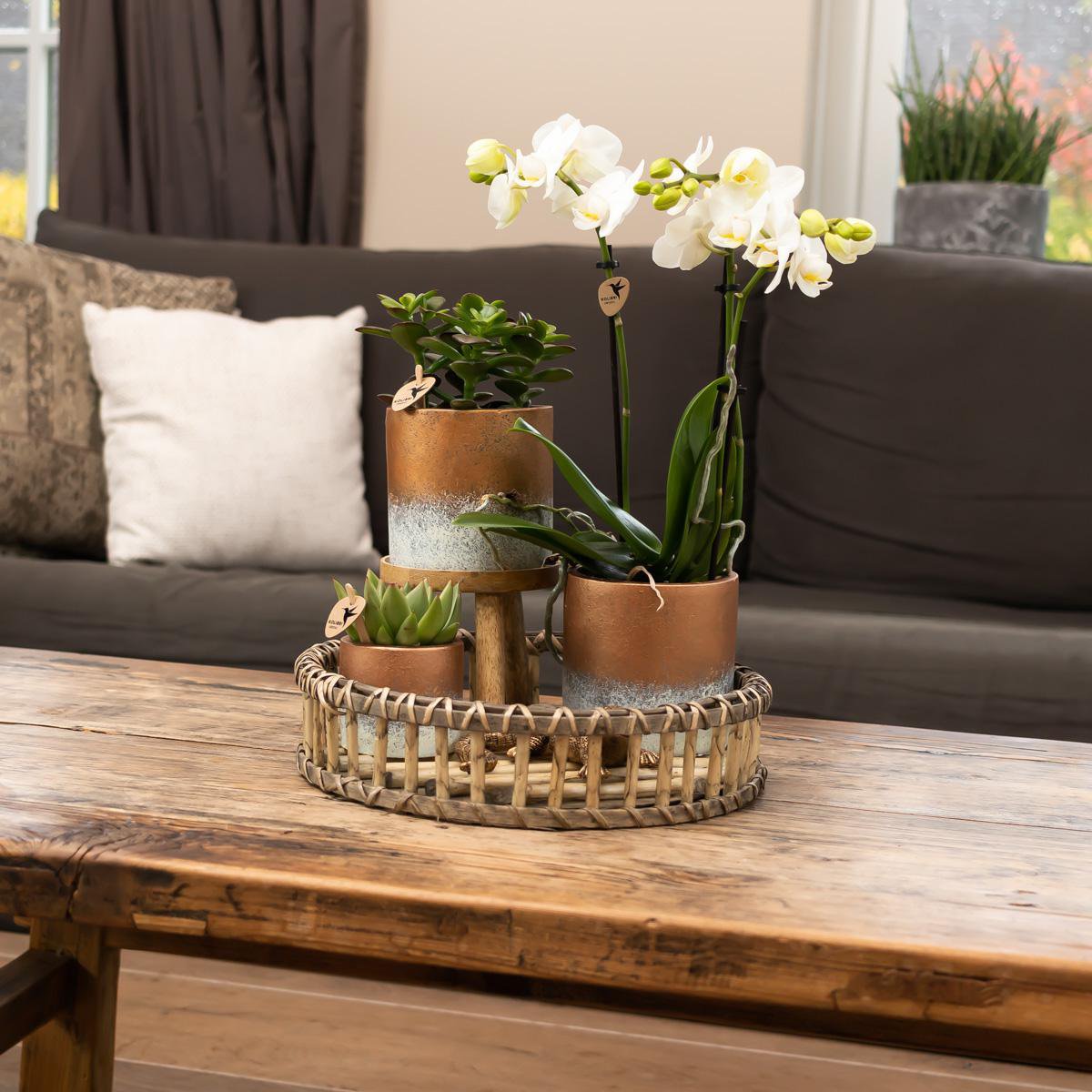 Anro Style Plantenstandaard - Houten planten verhoging Ø12cm