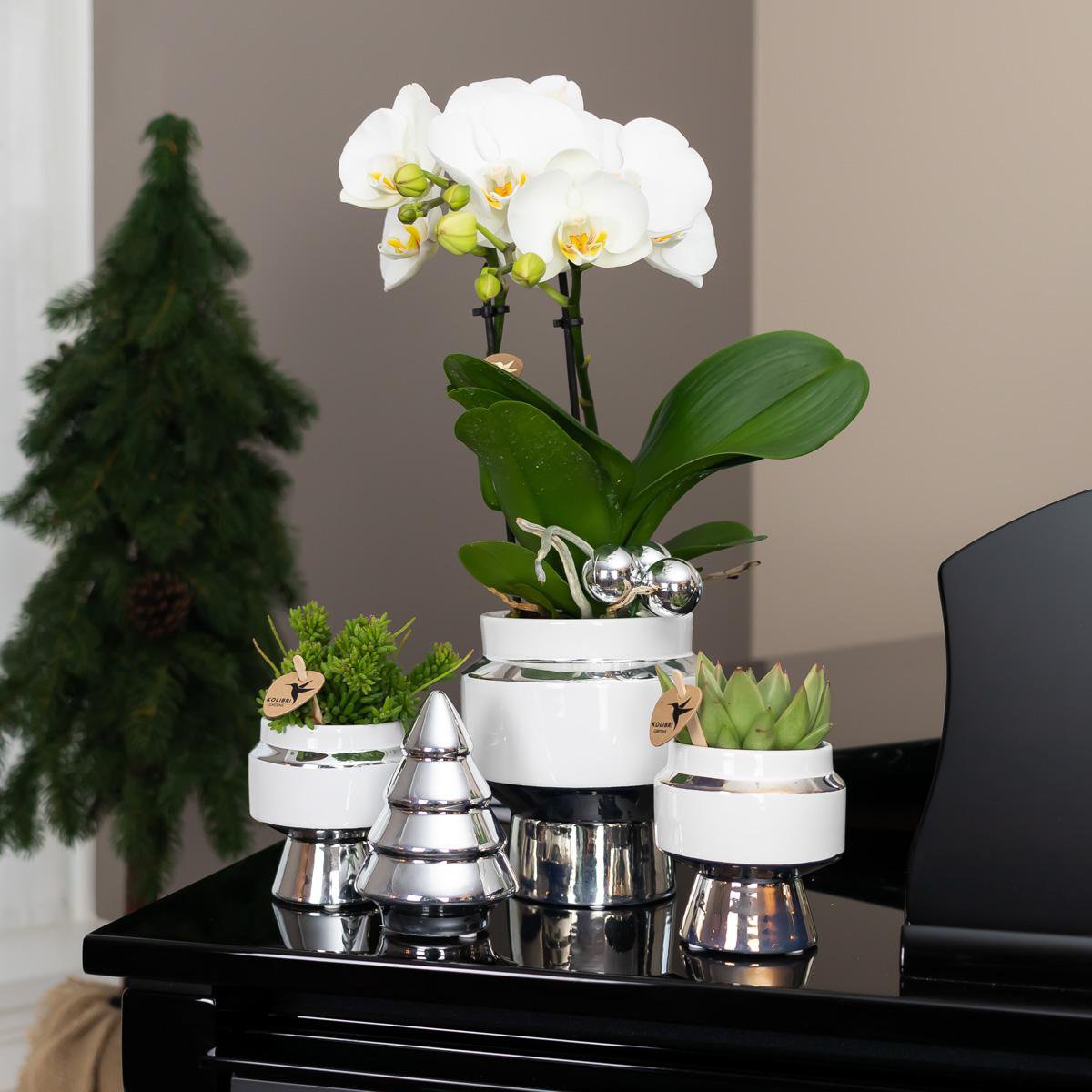 Anro Style Le Chic bloempot - Witte keramieken sierpot met zilveren details - Ø6cm