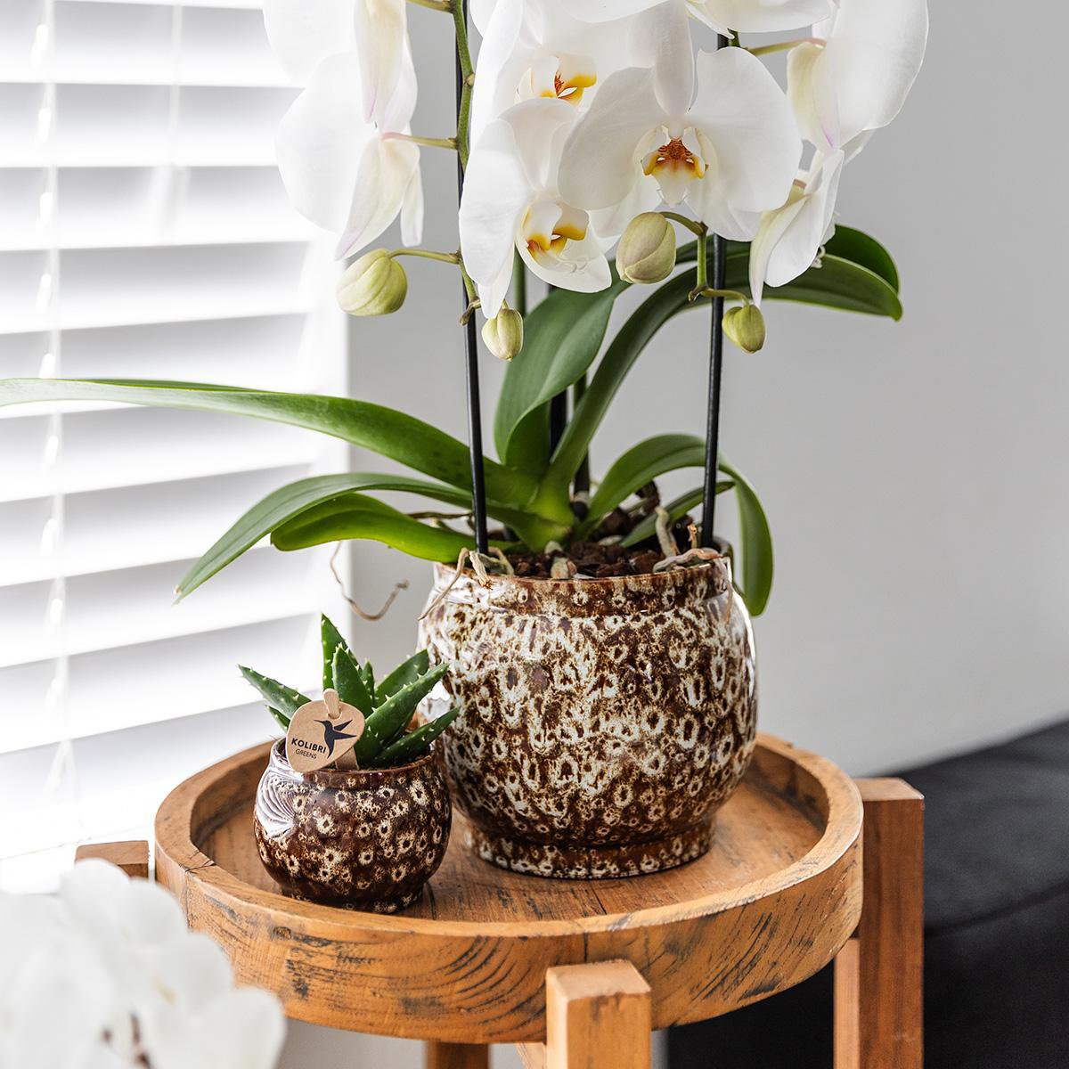 Anro Style Safari pot - 12 - Ø12cm