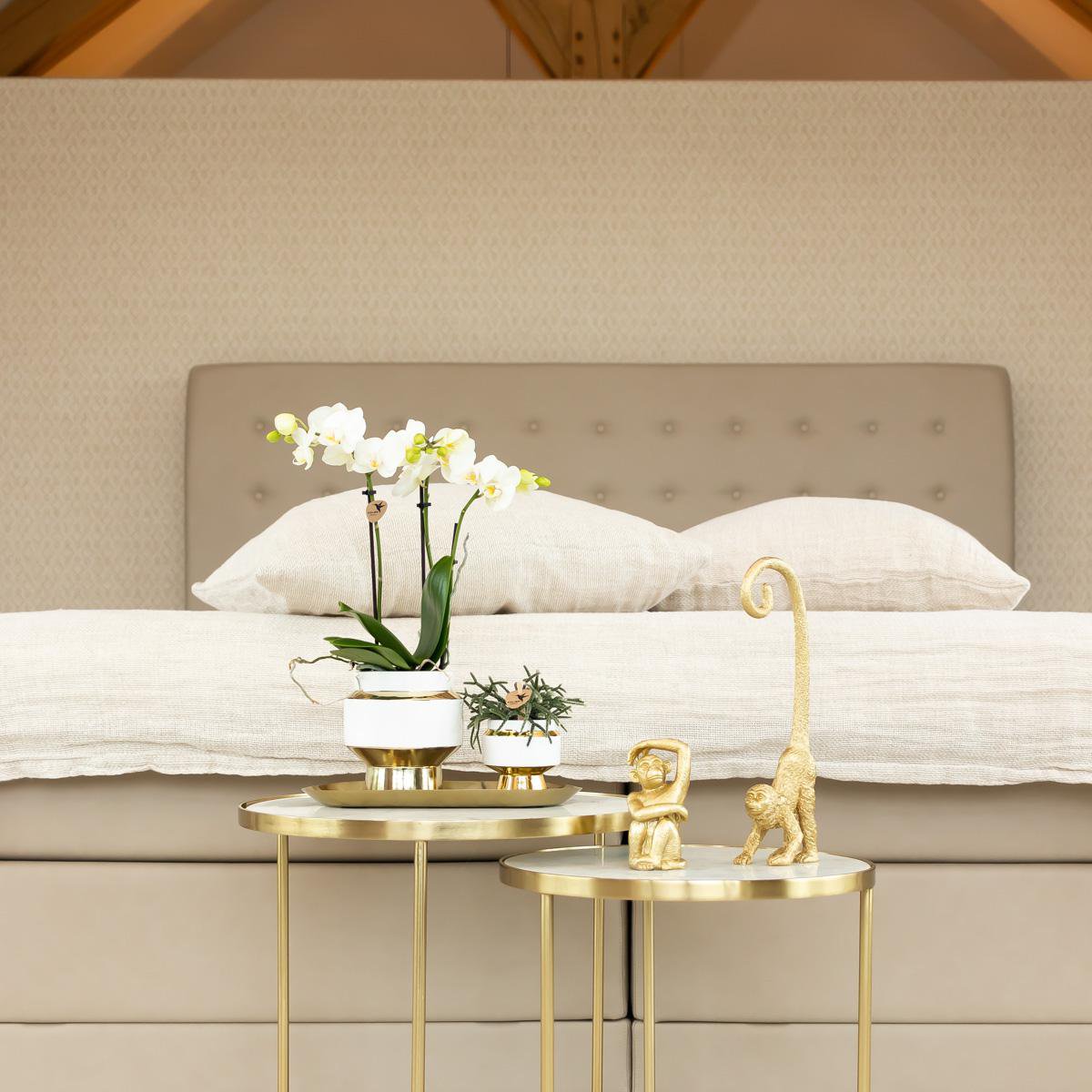 Anro Style Le Chic bloempot - Witte keramieken sierpot met gouden details - Ø9cm