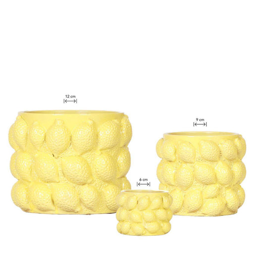 Anro Style Combi deal - Citrus bloempot - gele cementen sierpot