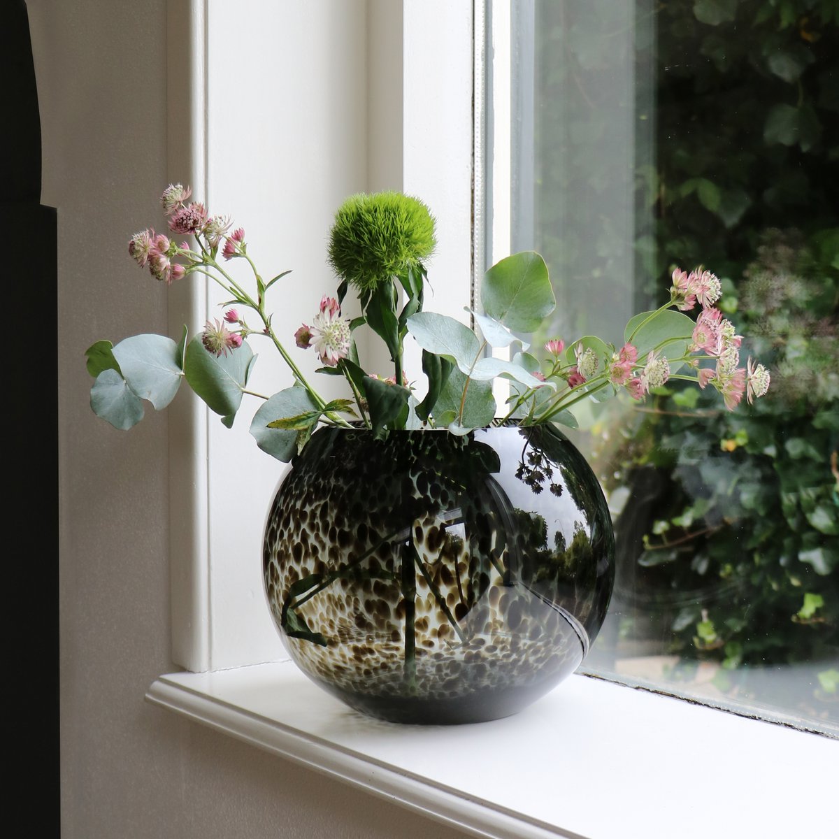 Vaas - Zambezi grey cheetah