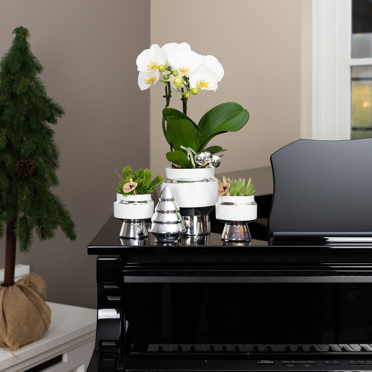 Anro Style Le Chic bloempot - Witte keramieken sierpot met zilveren details - Ø9cm