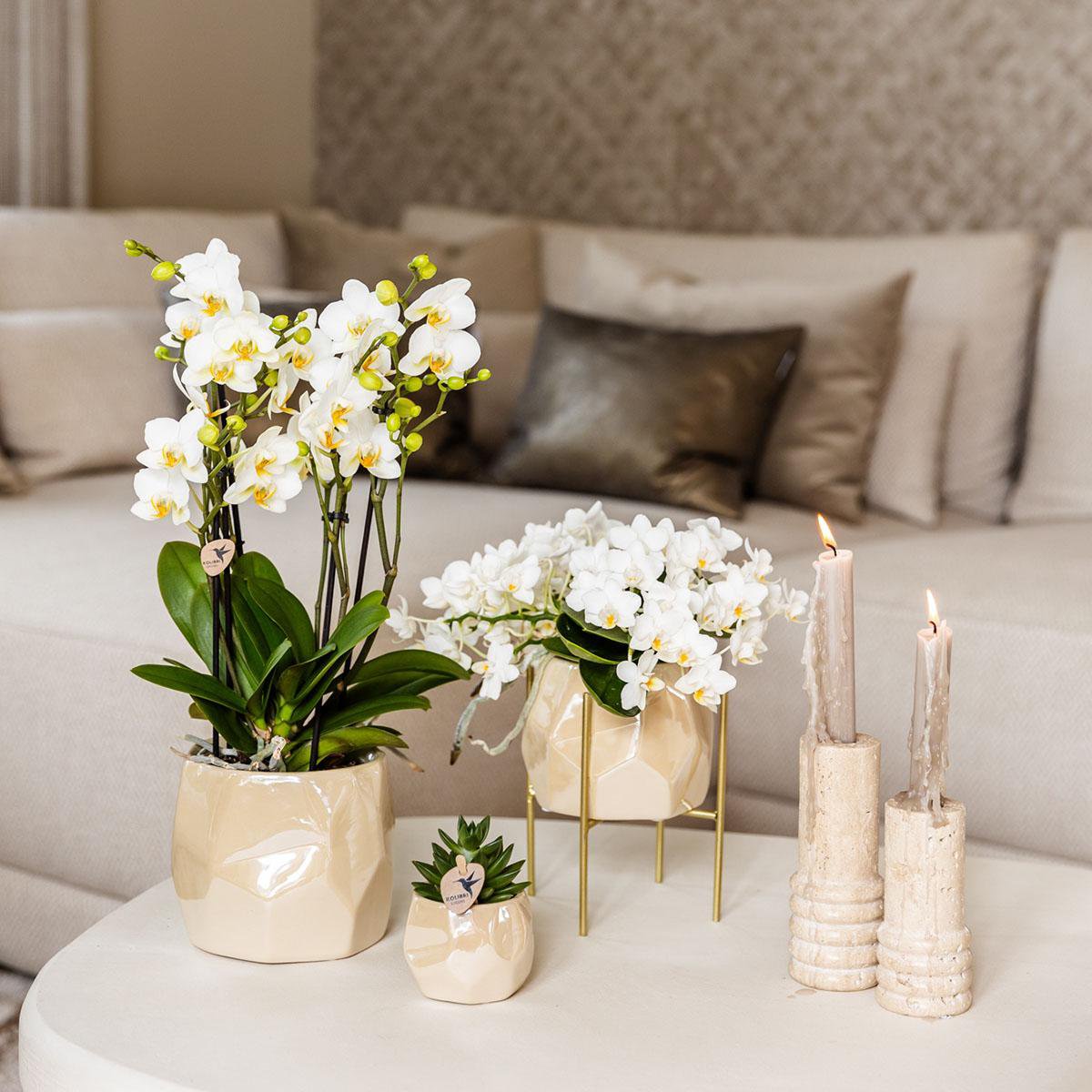 Anro Style Combi deal - Pearl travertine potten