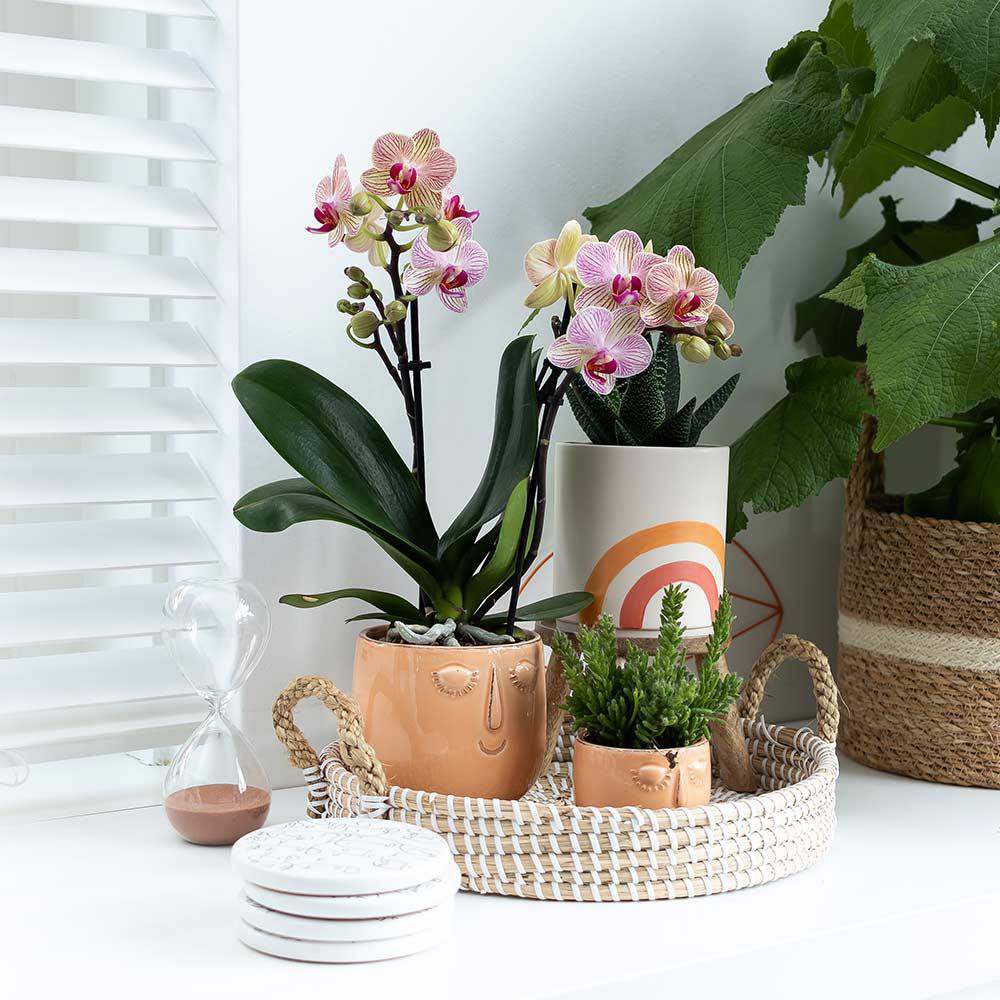 Anro Style Decoratieschaal - Wit gevlochten dienblad Ø30cm