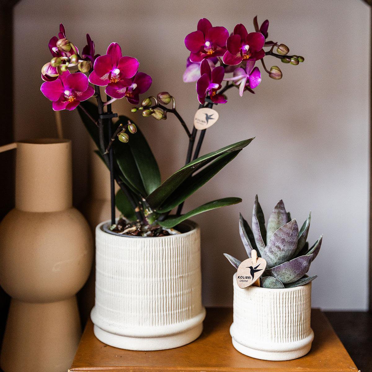 Anro Style Bali sierpot - Off White - Ø9cm