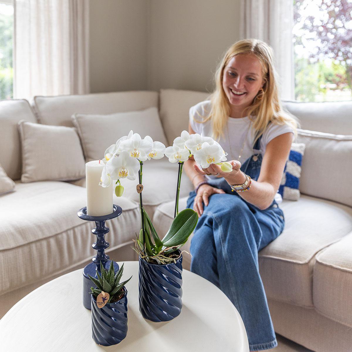 Anro Style Candy sierpot | Hoog - Blue - Ø9cm
