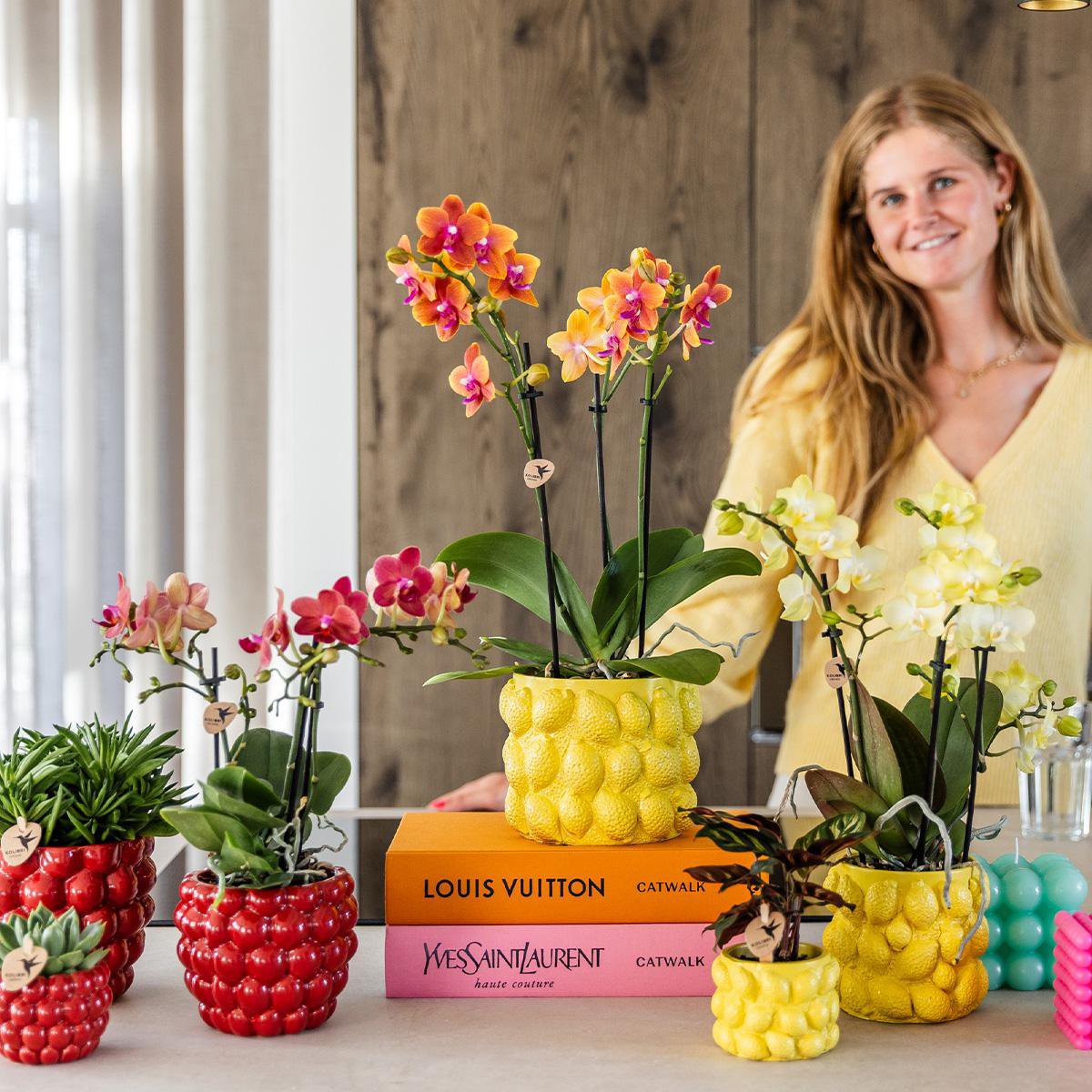 Anro Style gele Phalaenopsis orchidee - Mexico + Citrus sierpot yellow - potmaat Ø9cm | bloeiende kamerplant - vers van de kweker