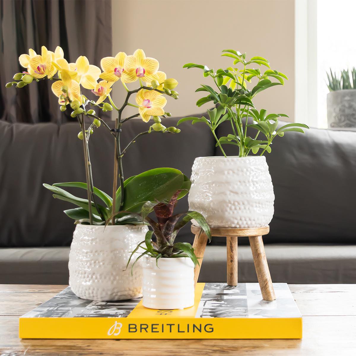 Anro Style Dots bloempot - Witte keramieken sierpot Ø9cm