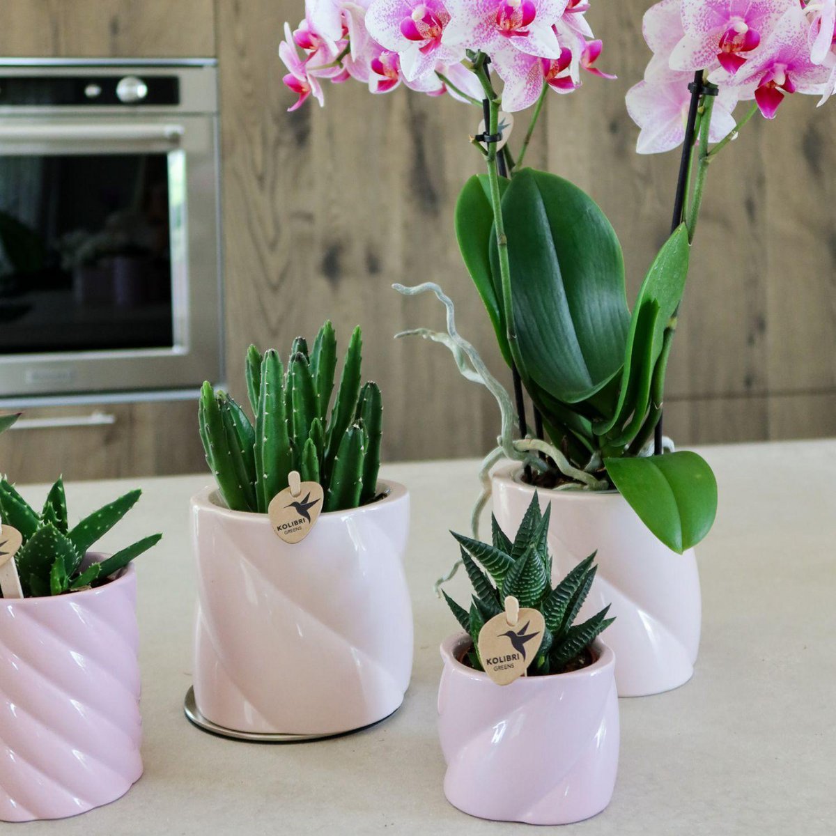 Anro Style Candy sierpot - Pink - Ø9cm