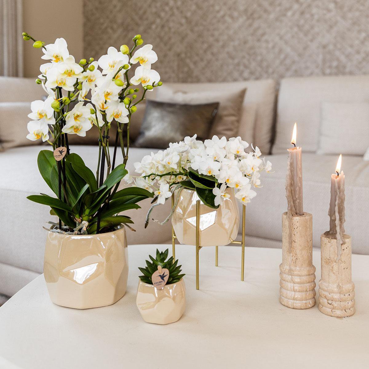 Anro Style Combi deal - Pearl travertine potten