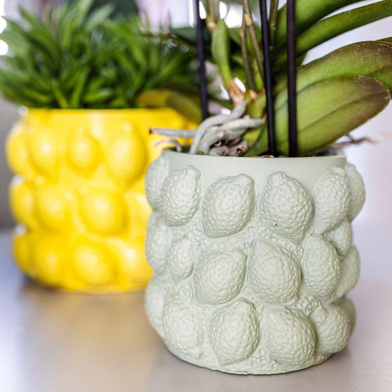 Anro Style Citrus pot groen - Ø6cm
