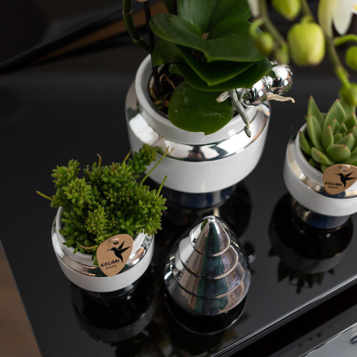 Anro Style Le Chic bloempot - Witte keramieken sierpot met zilveren details - Ø9cm