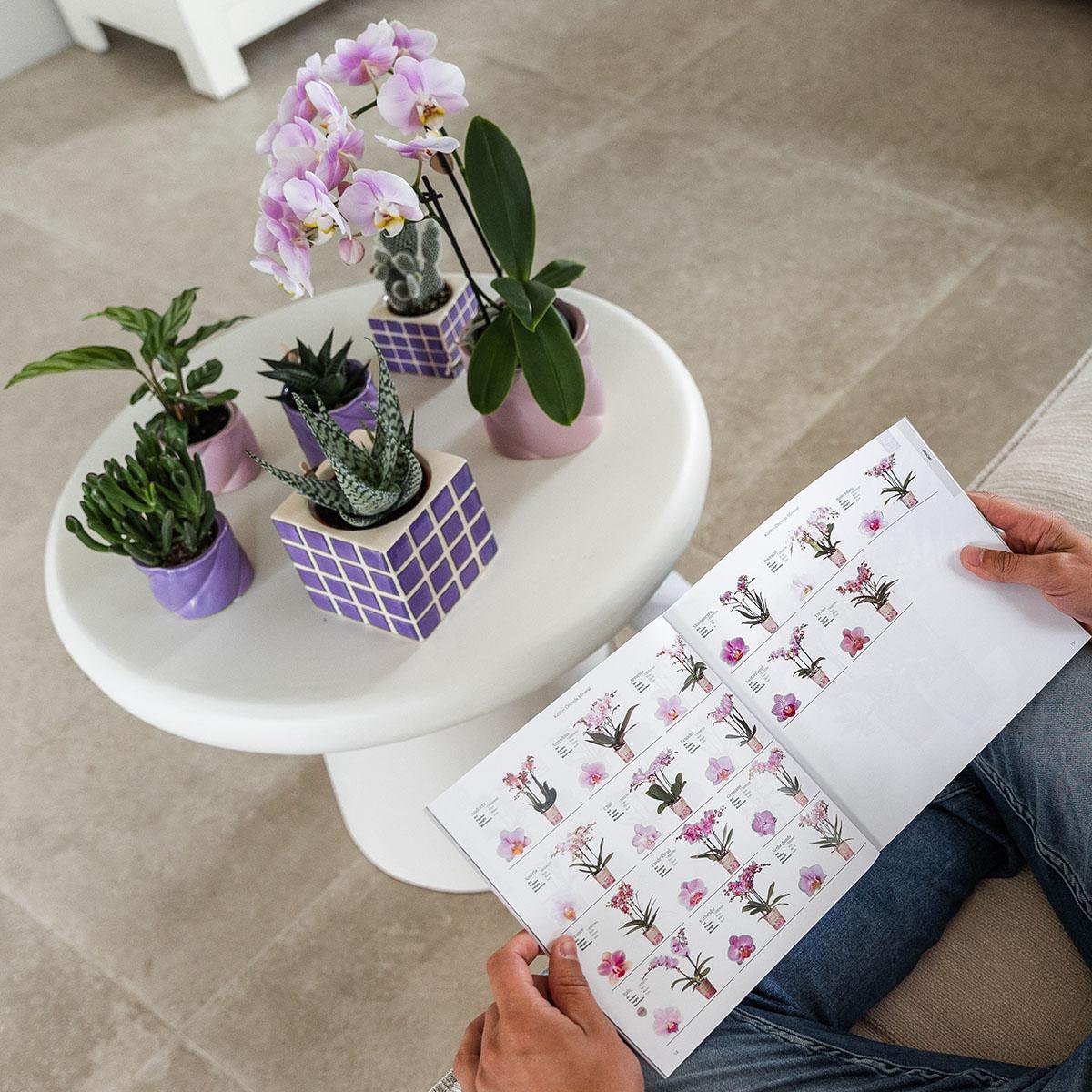 Anro Style Candy sierpot - Lilac - Ø6cm