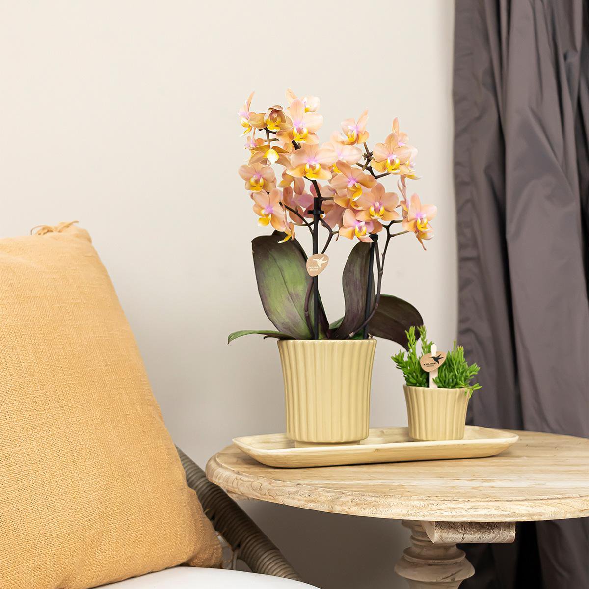 Anro Style Retro khaki bloempot - khaki kleurige keramieken sierpot - Ø6cm